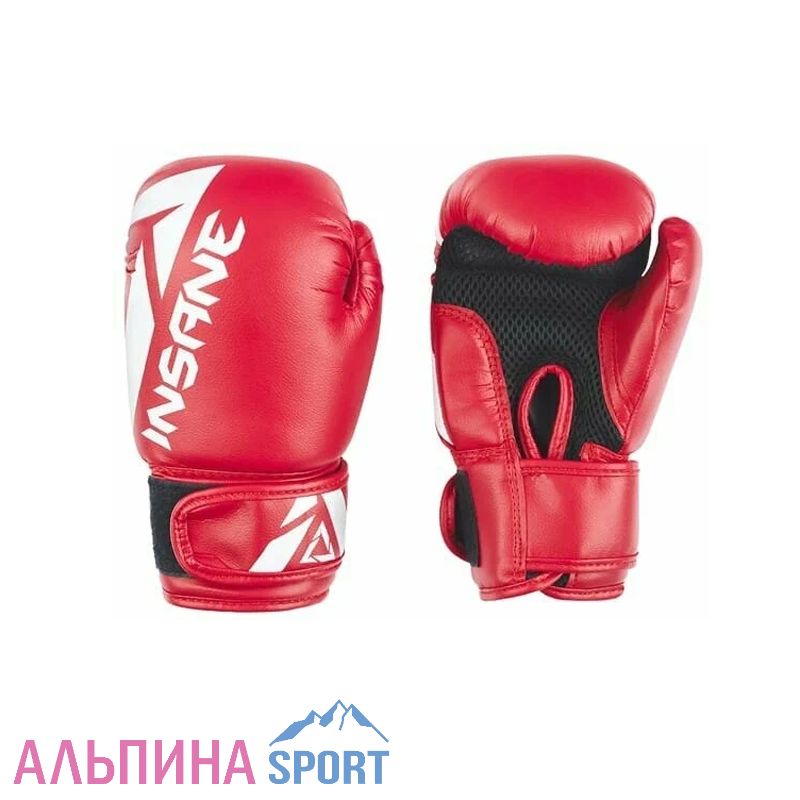 Перчатки боксерские INSANE MARS IN22-BG100 ПУ красный