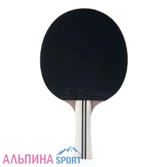 Ракетка для настольного тенниса Torres Profi 5 для спортсменов_v03