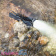 Фонарь Armytek Dobermann Pro Magnet USB теплый_v05 Фонарь Armytek Dobermann Pro Magnet USB теплый_v05