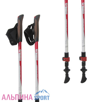 Палки телескопические Tramp Compact-1