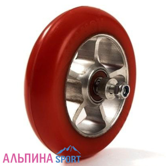 100х24-поли