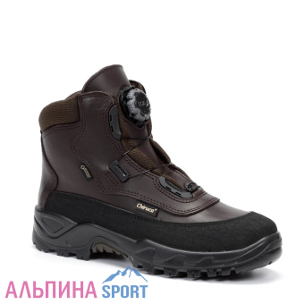 4404042-labrador-boa-42-02