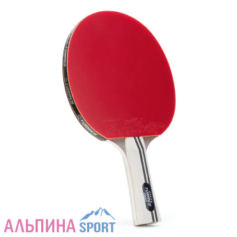 Ракетка для настольного тенниса Torres Profi 5 для спортсменов_v02