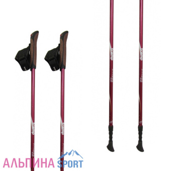 Палки телескопические Tramp Fitness-1