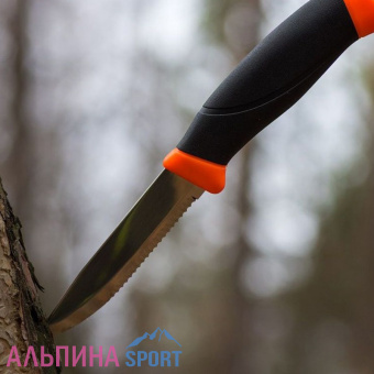 OZRB8pHZieLQ2qQIwZxwtsVb0Cl3JVfU