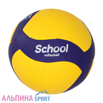 Мяч волейбольный Mikasa V345W р.5_v02