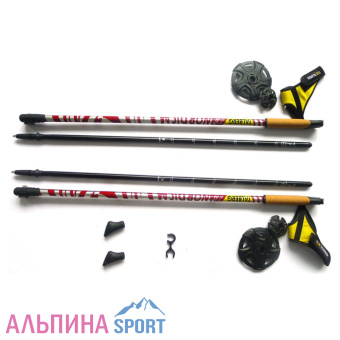 Палки телескопические TALBERG Nordica-2
