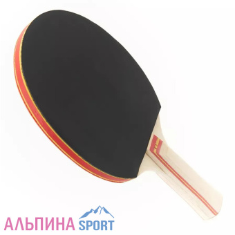 Ракетка для настольного тенниса АТЕМИ 200 AN_v05