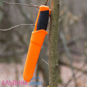 USsywW67ZDWdGw2dYRbkozpTKOZZetox