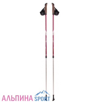 Палки телескопические Tramp Fitness-2