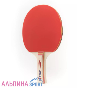 Ракетка для настольного тенниса АТЕМИ 200 AN_v03