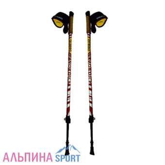 Палки телескопические TALBERG Nordica-1